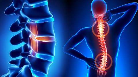 Ryan Chiropractic P.C. / Dr. R. Paul Ryan Ryan Chiropractic P.C. / Dr. R. Paul Ryan